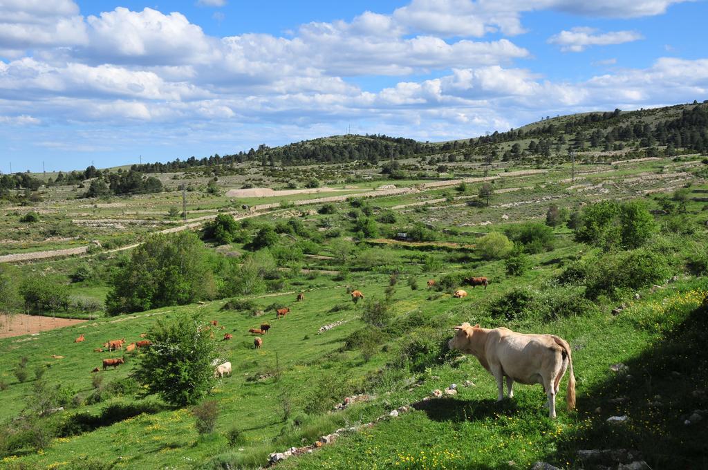 Casa Rural El Boixar - El Mirador Bojar Eksteriør billede