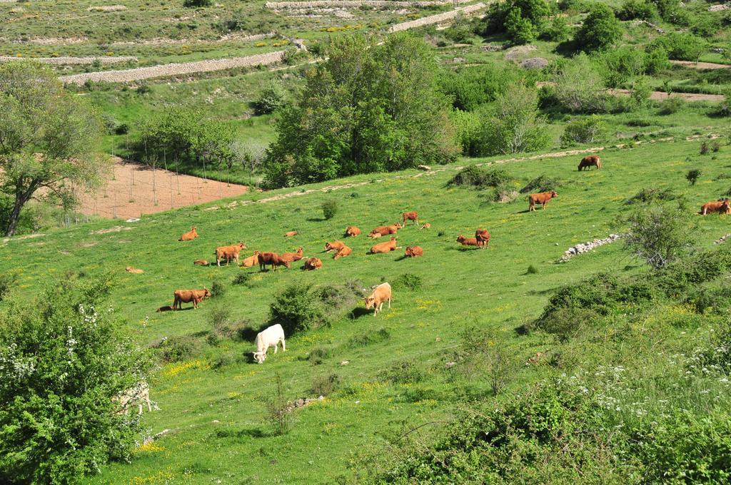 Casa Rural El Boixar - El Mirador Bojar Eksteriør billede